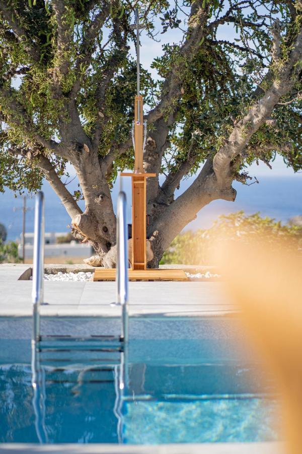 Santa Marina Syros Villa Liaropá Exteriör bild